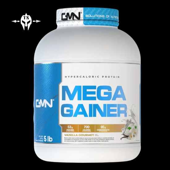 Mega Gainer Protein 5 Pounds GMN