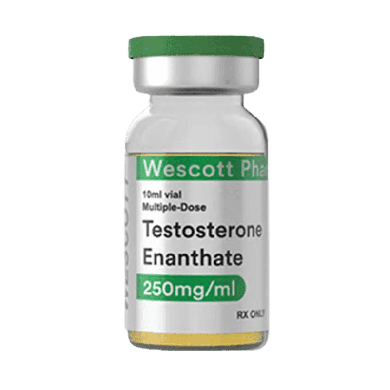 Enantato de testosterona 250 mg Wescott Pharma