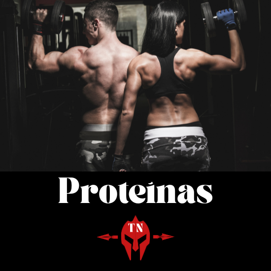 PROTEÍNAS