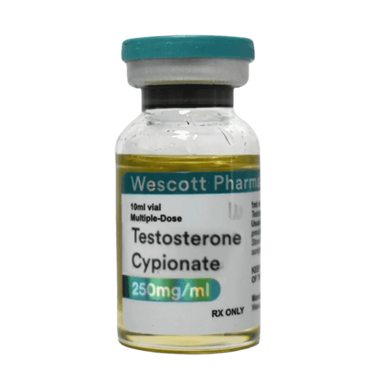 Cipionato de testosterona Wescott Pharma 250 mg