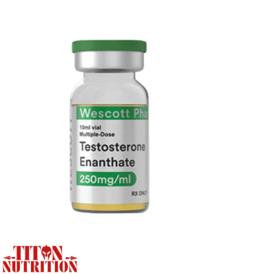 Enantato de testosterona 250 mg Wescott Pharma